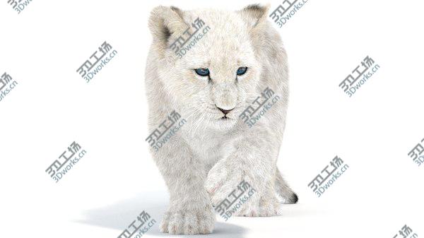 images/goods_img/20210312/3D White Baby Lion Rigged, Fur model/2.jpg
